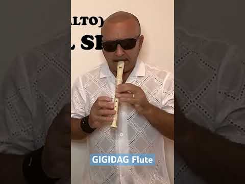 Gigi D'Agostino - Shadows of the night - Flauto Dolce