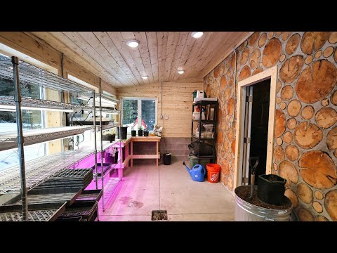 Lights, Shelves, Action! | Finishing the Seed Room