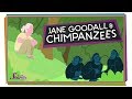 Jane Goodall and Chimpanzees