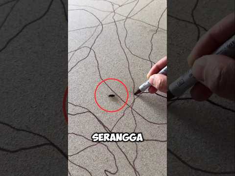 Lukisan Aneh Ini Jadi Jutaan Dollar! 💰🎨