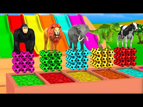 5 Giant Duck Long Slide Game With Mammoth Cow Elephant Tiger Gorilla Lion T Rex Buffalo Animals Game