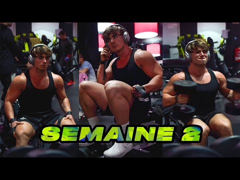 Perdre du GRAS tout en prenant du MUSCLE ? (en étant naturel) - Road 2 aesthetics #2