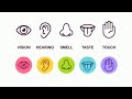 Understanding the Human Senses