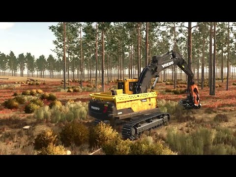 Building a Mega Farm Out of a Forest #41 PineWood Forest | Hard Mode Farming Simulator 25 Time Lapse