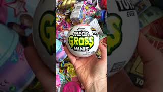 5 Surprise Mega Gross Mini Surprise Toys Opening!