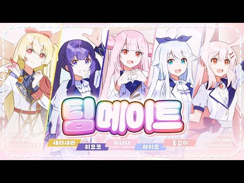 ✦ 설레임에디션X히요코X꽃감이 - 팀 메이트 (チームメイト) ✦