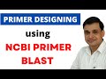 Primer Design and Gene Sequence Concepts