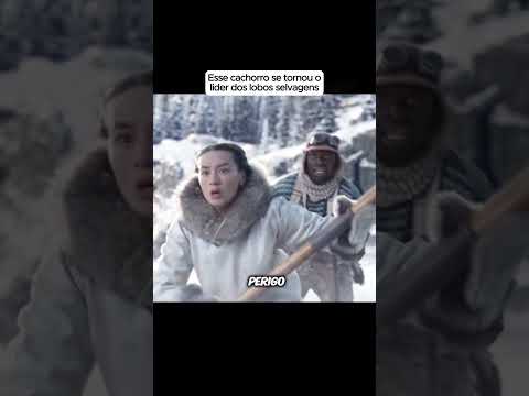 esse cachorro se tornou o líder dos lobos selvagens #filmes #filmesnovos #melhoresfilmes  #shorts