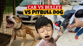 CAR VS Danger PITBULL Race 😱