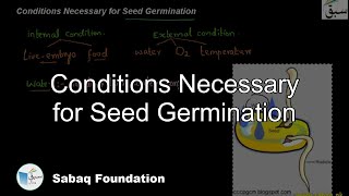 Conditions Necessary for Seed Germination