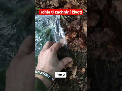 Tohle ti zachrání život! Bushcraft