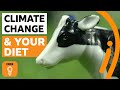 Impact of Meat Consumption on Climate Change