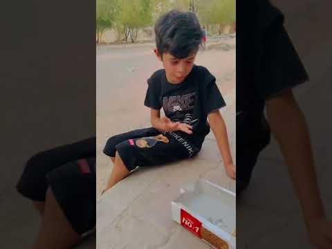 تحشيش وضحك عركة زنبور والمجداي