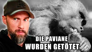 Ziel der Zoos erreicht? Paviane im Tiergarten Nürnberg wurden getötet | Robert Marc Lehmann reagiert