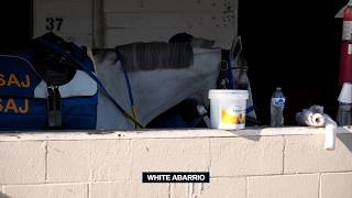 Follow Along with Breeders' Cup Classic Winner WHITE ABARRIO!