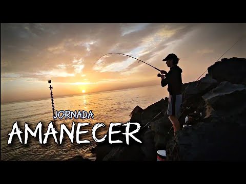 GRAN Jornada De PESCA Al AMANECER 🎣 Arturo se llevó la CORONA 😅🔥 (Pesca Tenerife) | YoSoyHader 🎣