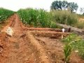 Exploring Irrigation Techniques in Ancient Mesopotamia