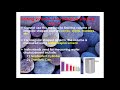 Properties of Matter and Density