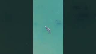 Solo trips through Shark Bay with Dan Sands