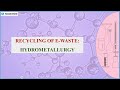 Hydrometallurgical Extraction Processes