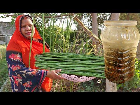 सहजन का अचार बनाने का ऐसा नया तरीका कि महीनों तक खराब नहीं होगा | TASTY DRUMSTICK PICKLE RECIPE