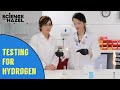 Hydrogen Gas Production and Testing