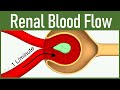Renal Blood Flow and Pressure Concepts