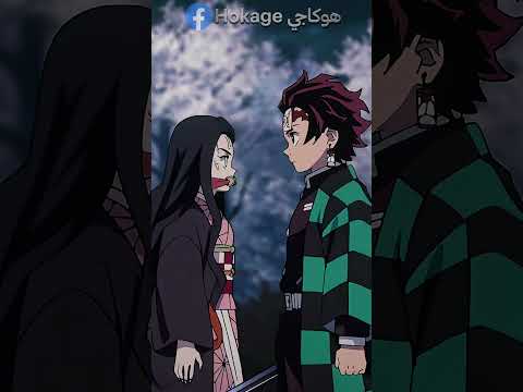 لماذا نيزوكو مختلفة عن كل الشياطين ؟ قاتل الشياطين 🤯👺