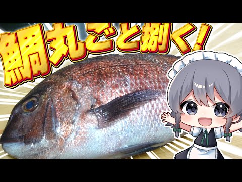 【料理】咲夜ちゃんの鯛１匹丸ごと捌いて鯛のフルコース作り！【ゆっくり実況】【ゆっくり料理】