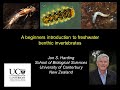 Benthic Invertebrates and Their Habitats
