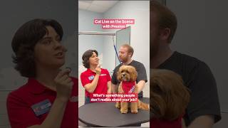 Pet Stylist Preston shares something most people don't realize about working in grooming✂️ #PetSmart