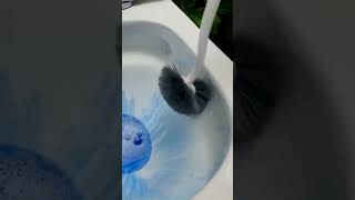 Magic Toilet brush | Amazon ProBox