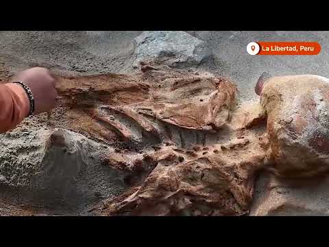 YouTube video thumbnail: Peruvian Temple Offers Clues Into 3,000-Year-old Human Sacrifices