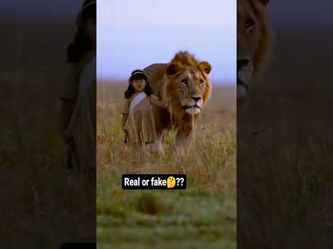 REAL OR FAKE