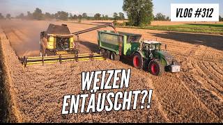 Vlog 312 Der erste Schaden nach 160mm Regen! Alles nur noch Futter?