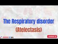 Respiratory System Development and Function