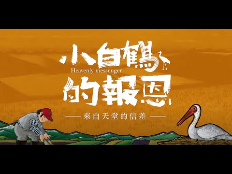  小白鶴的報恩 中文字幕 精華版 - YouTube