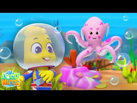 Loco Nuts - Diversión Bajo el Mar Episodio + Dibujos Animados Divertido para Niños