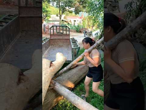 agricultural vehicle transporting wood