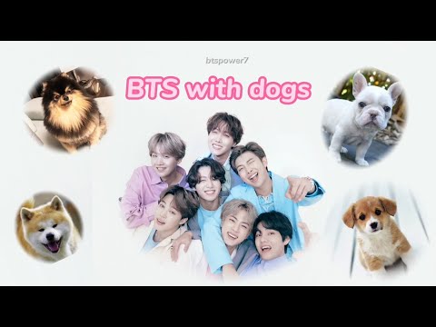 BTS with dogs 🐶