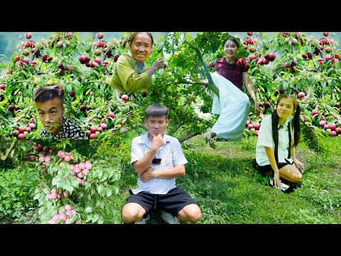Hưng Troll | Thử Thách Chơi Trốn Tìm Ở Vườn Mận Cùng Bà Tân Vlog Thắng Nhận 500$
