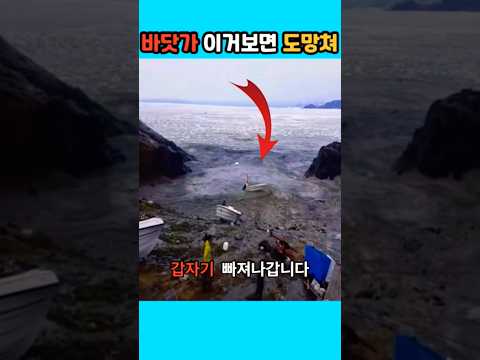 [800만] 바다에서 이 장면 보면 바로 도망치세요