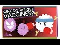 Understanding Vaccinations