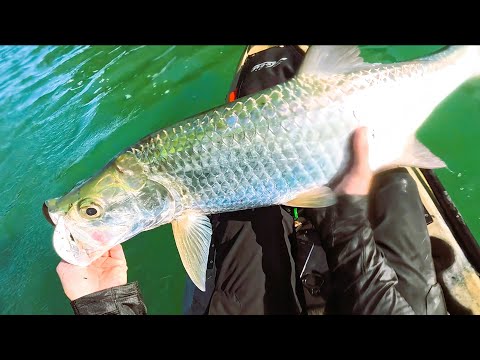 Tarpon Fishing The Florida Keys From my Kayak