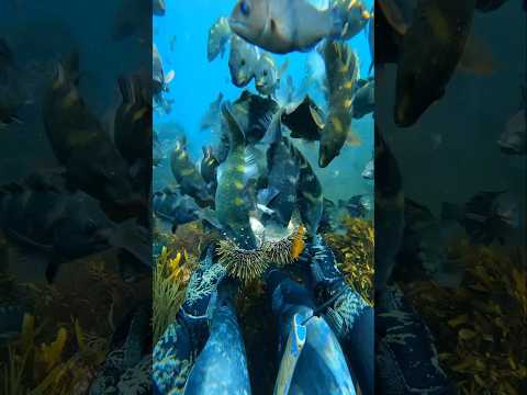 lesson learned, fish bite HARD..