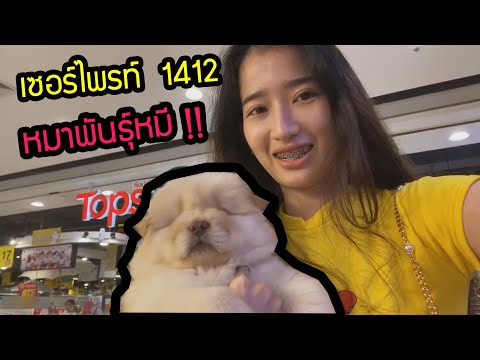 น้อง ฮัทจิ สมาชิคใหม่ราคาเกิบแสน !!