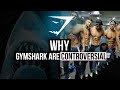 Gymshark's Marketing and Ethics
