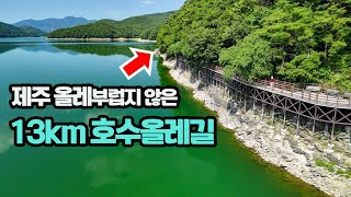 🚈제주올레보다 멋진 호수올레길! 당일치기 기차여행