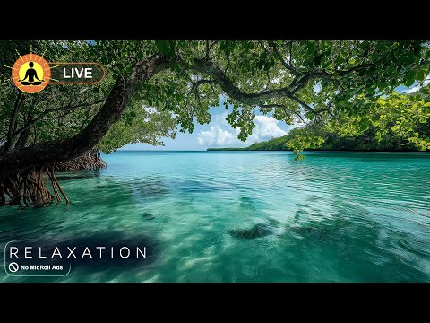 &#128308; Relaxing Music 24/7, Stress Relief Music, Sleep Music, Meditation Music, Study, Calming Music