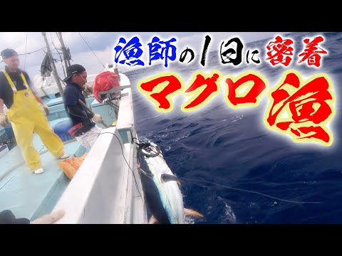 激闘！大迫力！巨大マグロ ついに釣った！【マグロ漁の1日に密着 後編】